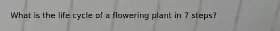 What is the life cycle of a flowering plant in 7 steps?