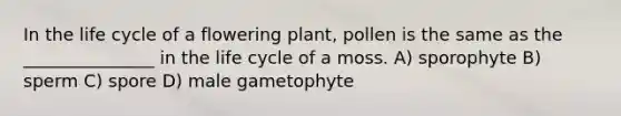 In the life cycle of a flowering plant, pollen is the same as the _______________ in the life cycle of a moss. A) sporophyte B) sperm C) spore D) male gametophyte