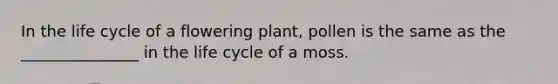 In the life cycle of a flowering plant, pollen is the same as the _______________ in the life cycle of a moss.