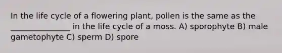 In the life cycle of a flowering plant, pollen is the same as the _______________ in the life cycle of a moss. A) sporophyte B) male gametophyte C) sperm D) spore