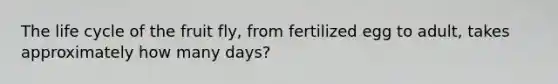 The life cycle of the fruit fly, from fertilized egg to adult, takes approximately how many days?