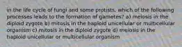 in the life cycle of fungi and some protists, which of the following processes leads to the formation of gametes? a) meiosis in the diploid zygote b) mitosis in the haploid unicellular or multicellular organism c) mitosis in the diploid zygote d) meiosis in the haploid unicellular or multicellular organism