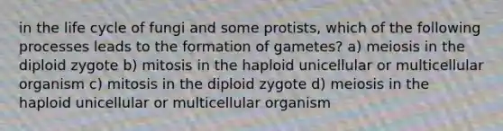 in the life cycle of fungi and some protists, which of the following processes leads to the formation of gametes? a) meiosis in the diploid zygote b) mitosis in the haploid unicellular or multicellular organism c) mitosis in the diploid zygote d) meiosis in the haploid unicellular or multicellular organism