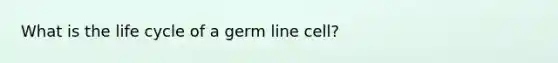 What is the life cycle of a germ line cell?