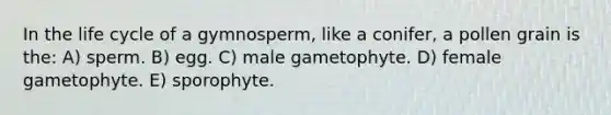 In the life cycle of a gymnosperm, like a conifer, a pollen grain is the: A) sperm. B) egg. C) male gametophyte. D) female gametophyte. E) sporophyte.