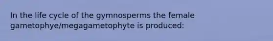 In the life cycle of the gymnosperms the female gametophye/megagametophyte is produced: