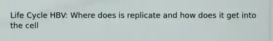 Life Cycle HBV: Where does is replicate and how does it get into the cell