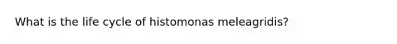 What is the life cycle of histomonas meleagridis?