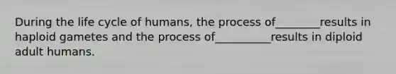 During the life cycle of humans, the process of________results in haploid gametes and the process of__________results in diploid adult humans.