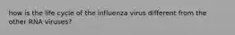 how is the life cycle of the influenza virus different from the other RNA viruses?