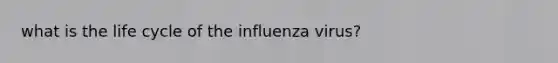 what is the life cycle of the influenza virus?