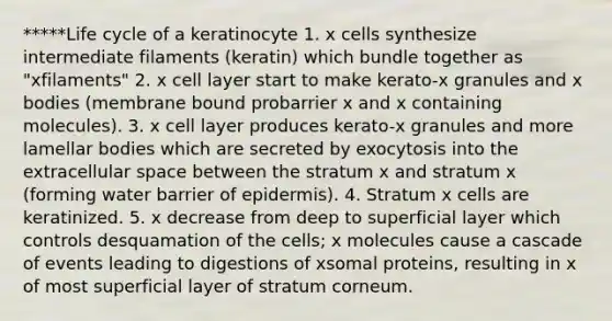 *****Life cycle of a keratinocyte 1. x cells synthesize intermediate filaments (keratin) which bundle together as "xfilaments" 2. x cell layer start to make kerato-x granules and x bodies (membrane bound probarrier x and x containing molecules). 3. x cell layer produces kerato-x granules and more lamellar bodies which are secreted by exocytosis into the extracellular space between the stratum x and stratum x (forming water barrier of epidermis). 4. Stratum x cells are keratinized. 5. x decrease from deep to superficial layer which controls desquamation of the cells; x molecules cause a cascade of events leading to digestions of xsomal proteins, resulting in x of most superficial layer of stratum corneum.