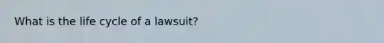 What is the life cycle of a lawsuit?