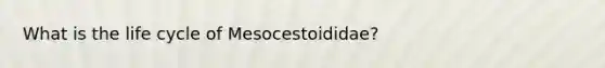 What is the life cycle of Mesocestoididae?