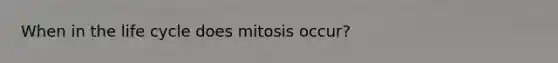 When in the life cycle does mitosis occur?