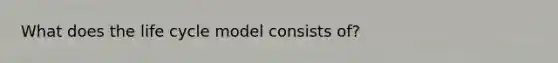 What does the life cycle model consists of?