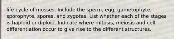 life cycle of mosses. Include the sperm, egg, gametophyte, sporophyte, spores, and zygotes. List whether each of the stages is haploid or diploid. Indicate where mitosis, meiosis and cell differentiation occur to give rise to the different structures.