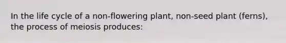 In the life cycle of a non-flowering plant, non-seed plant (ferns), the process of meiosis produces: