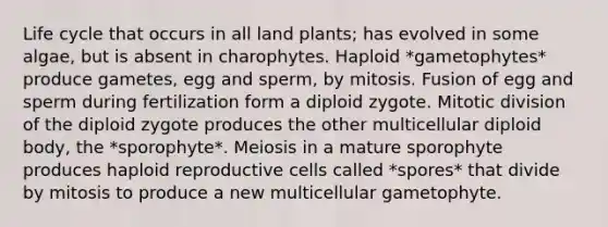 Life cycle that occurs in all land plants; has evolved in some algae, but is absent in charophytes. Haploid *gametophytes* produce gametes, egg and sperm, by mitosis. Fusion of egg and sperm during fertilization form a diploid zygote. Mitotic division of the diploid zygote produces the other multicellular diploid body, the *sporophyte*. Meiosis in a mature sporophyte produces haploid reproductive cells called *spores* that divide by mitosis to produce a new multicellular gametophyte.