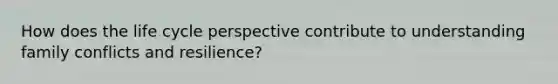 How does the life cycle perspective contribute to understanding family conflicts and resilience?