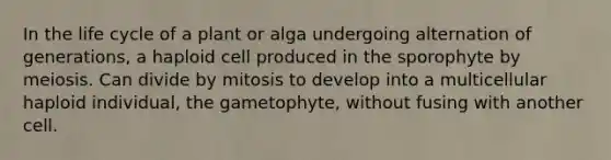 In the life cycle of a plant or alga undergoing alternation of generations, a haploid cell produced in the sporophyte by meiosis. Can divide by mitosis to develop into a multicellular haploid individual, the gametophyte, without fusing with another cell.