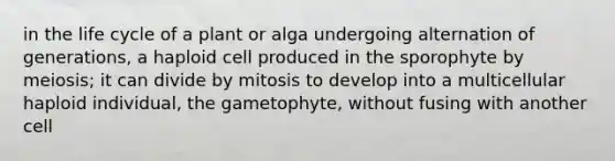 in the life cycle of a plant or alga undergoing alternation of generations, a haploid cell produced in the sporophyte by meiosis; it can divide by mitosis to develop into a multicellular haploid individual, the gametophyte, without fusing with another cell