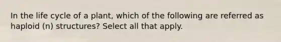 In the life cycle of a plant, which of the following are referred as haploid (n) structures? Select all that apply.