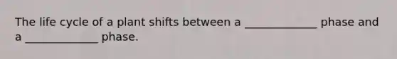 The life cycle of a plant shifts between a _____________ phase and a _____________ phase.