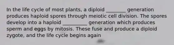 In the life cycle of most plants, a diploid ________ generation produces haploid spores through meiotic cell division. The spores develop into a haploid __________ generation which produces sperm and eggs by mitosis. These fuse and produce a diploid zygote, and the life cycle begins again