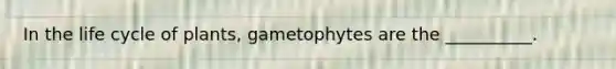 In the life cycle of plants, gametophytes are the __________.