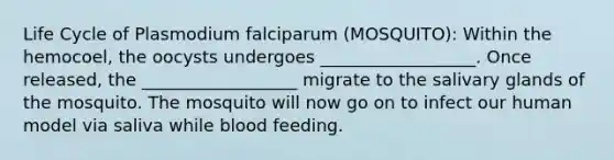 Life Cycle of Plasmodium falciparum (MOSQUITO): Within the hemocoel, the oocysts undergoes __________________. Once released, the __________________ migrate to the salivary glands of the mosquito. The mosquito will now go on to infect our human model via saliva while blood feeding.