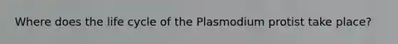 Where does the life cycle of the Plasmodium protist take place?