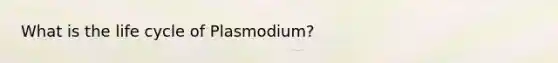 What is the life cycle of Plasmodium?