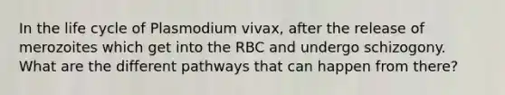 In the life cycle of Plasmodium vivax, after the release of merozoites which get into the RBC and undergo schizogony. What are the different pathways that can happen from there?