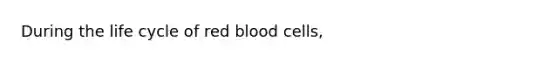 During the life cycle of red blood cells,