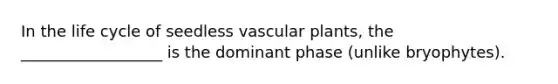 In the life cycle of seedless vascular plants, the __________________ is the dominant phase (unlike bryophytes).