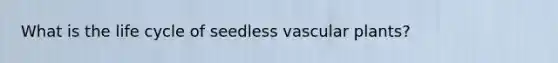 What is the life cycle of seedless vascular plants?