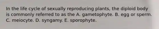 In the life cycle of sexually reproducing plants, the diploid body is commonly referred to as the A. gametophyte. B. egg or sperm. C. meiocyte. D. syngamy. E. sporophyte.