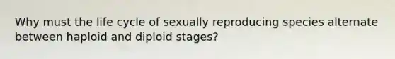 Why must the life cycle of sexually reproducing species alternate between haploid and diploid stages?