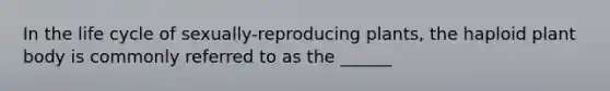 In the life cycle of sexually-reproducing plants, the haploid plant body is commonly referred to as the ______