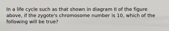 In a life cycle such as that shown in diagram II of the figure above, if the zygote's chromosome number is 10, which of the following will be true?