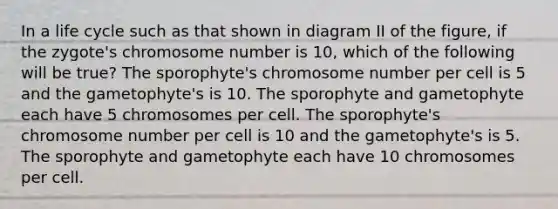 In a life cycle such as that shown in diagram II of the figure, if the zygote's chromosome number is 10, which of the following will be true? The sporophyte's chromosome number per cell is 5 and the gametophyte's is 10. The sporophyte and gametophyte each have 5 chromosomes per cell. The sporophyte's chromosome number per cell is 10 and the gametophyte's is 5. The sporophyte and gametophyte each have 10 chromosomes per cell.