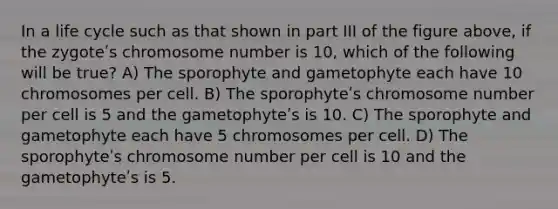 In a life cycle such as that shown in part III of the figure above, if the zygoteʹs chromosome number is 10, which of the following will be true? A) The sporophyte and gametophyte each have 10 chromosomes per cell. B) The sporophyteʹs chromosome number per cell is 5 and the gametophyteʹs is 10. C) The sporophyte and gametophyte each have 5 chromosomes per cell. D) The sporophyteʹs chromosome number per cell is 10 and the gametophyteʹs is 5.