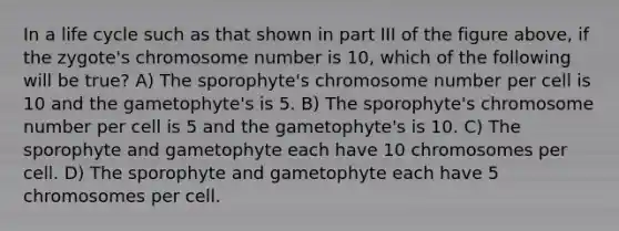 In a life cycle such as that shown in part III of the figure above, if the zygote's chromosome number is 10, which of the following will be true? A) The sporophyte's chromosome number per cell is 10 and the gametophyte's is 5. B) The sporophyte's chromosome number per cell is 5 and the gametophyte's is 10. C) The sporophyte and gametophyte each have 10 chromosomes per cell. D) The sporophyte and gametophyte each have 5 chromosomes per cell.