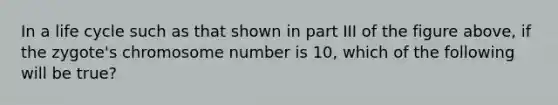 In a life cycle such as that shown in part III of the figure above, if the zygote's chromosome number is 10, which of the following will be true?