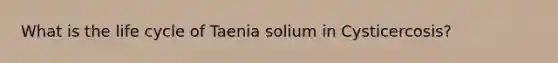 What is the life cycle of Taenia solium in Cysticercosis?