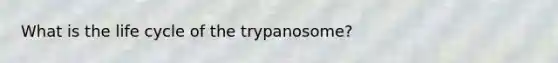 What is the life cycle of the trypanosome?