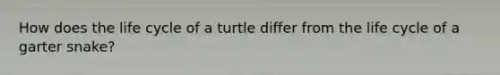 How does the life cycle of a turtle differ from the life cycle of a garter snake?