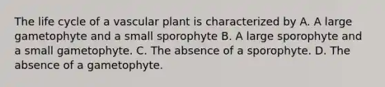 The life cycle of a vascular plant is characterized by A. A large gametophyte and a small sporophyte B. A large sporophyte and a small gametophyte. C. The absence of a sporophyte. D. The absence of a gametophyte.