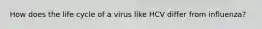 How does the life cycle of a virus like HCV differ from influenza?